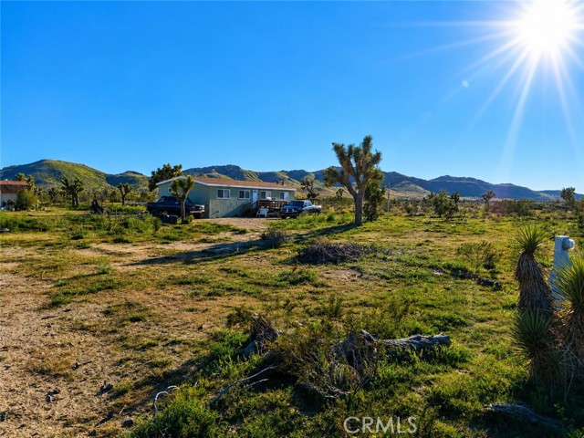 Front Image Thumbnail for CRSR26173167