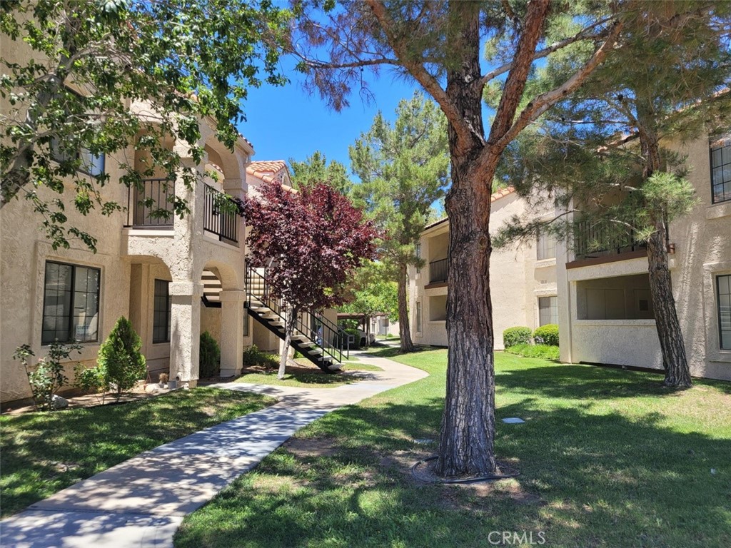 2554 Olive Drive #98