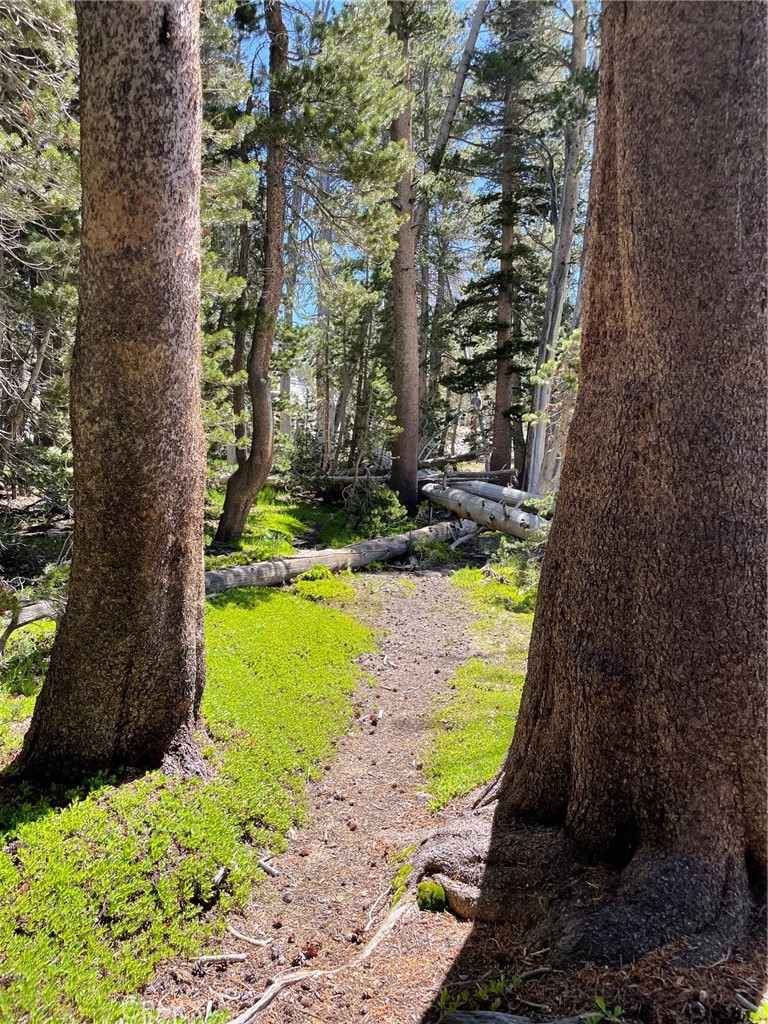 https://media.crmls.org/medias/534b2bb8-9987-431b-9dc0-b0fbf8f926e1.jpg?preset=X-Large
