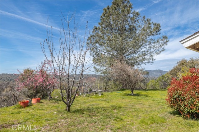 Detail Gallery Image 21 of 62 For 33030 Road 233, North Fork,  CA 93643 - 3 Beds | 2 Baths