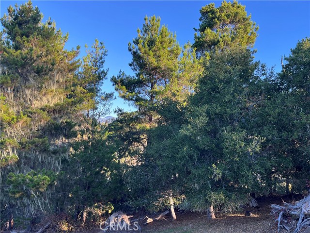 Detail Gallery Image 9 of 13 For 3235 Rogers, Cambria,  CA 93428 - – Beds | – Baths