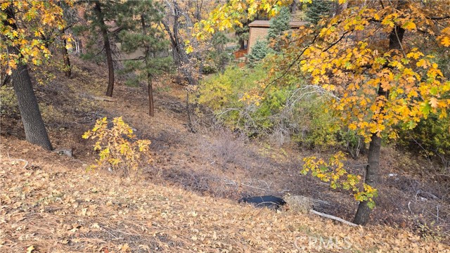 Detail Gallery Image 8 of 19 For 1000 Butte Ave, –,  CA 92314 - – Beds | – Baths