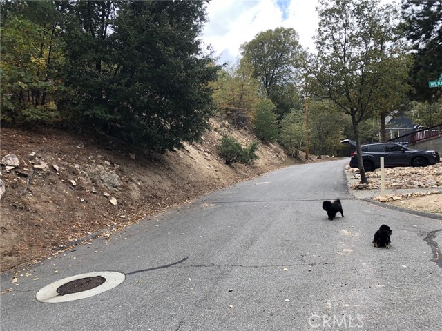 0 Madera, Lake Arrowhead, CA, 92352 0 Madera, Lake Arrowhead, CA, 92352