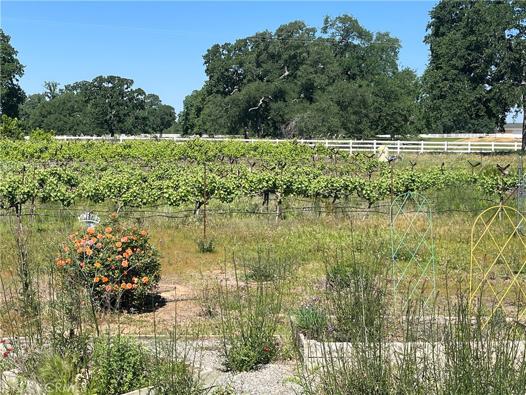 https://media.crmls.org/medias/53582b83-ad53-44e3-8b32-db9319f22dcd.jpg?preset=X-Large