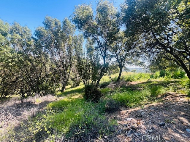 Detail Gallery Image 9 of 75 For 8697 Fraguero Rd, Sonora,  CA 95370 - 4 Beds | 2/1 Baths