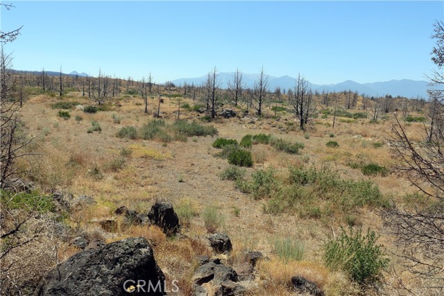 Detail Gallery Image 3 of 14 For 0 Juniper Valley, Weed,  CA 96094 - – Beds | – Baths