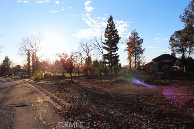 219 Redbud Drive, Paradise, California 95969, ,Land,For Sale,219 Redbud Drive,CRPA24007424