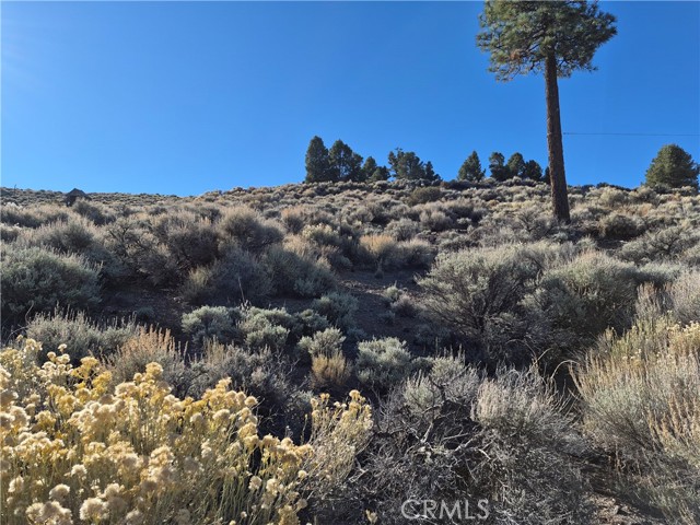 Detail Gallery Image 8 of 11 For 0 Rustic Canyon, Big Bear City,  CA 92314 - – Beds | – Baths