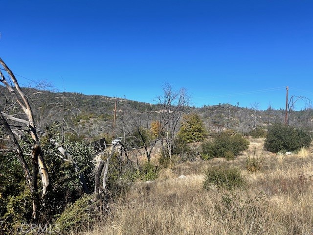 Detail Gallery Image 31 of 39 For 0 Craig Access, Feather Falls,  CA 95940 - – Beds | – Baths