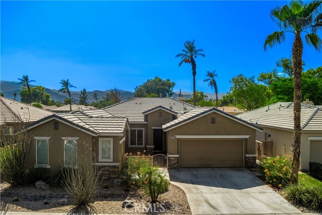 Front Image Thumbnail for CROC25265025