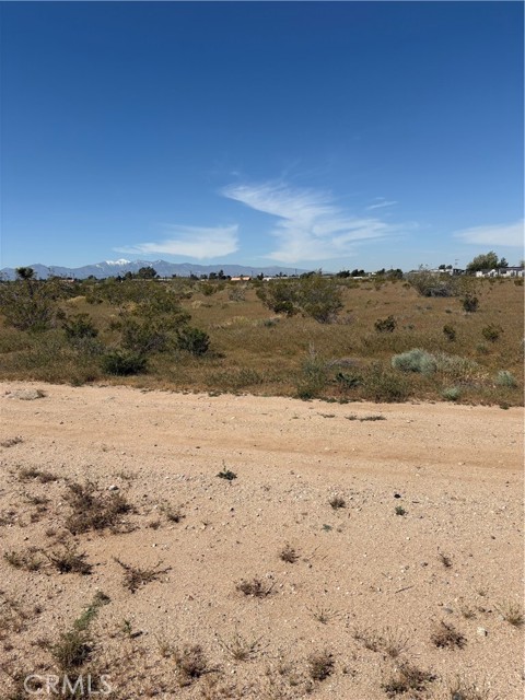 Detail Gallery Image 3 of 6 For 0 Hesperia Rd, Hesperia,  CA 92345 - – Beds | – Baths