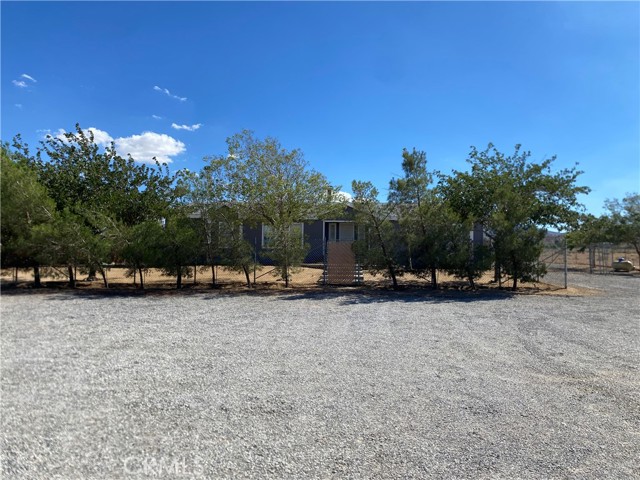 Detail Gallery Image 4 of 16 For 5050 Pearblossom Hwy, Palmdale,  CA 93552 - 5 Beds | 2 Baths