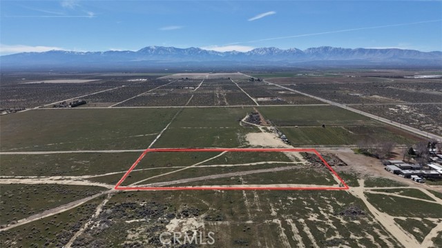 Front Image Thumbnail for CRPW26039442