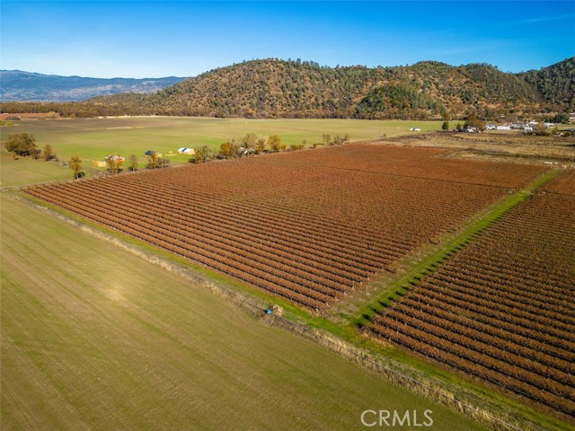 Detail Gallery Image 11 of 26 For 4150 Gaddy Ln, Kelseyville,  CA 95451 - – Beds | – Baths