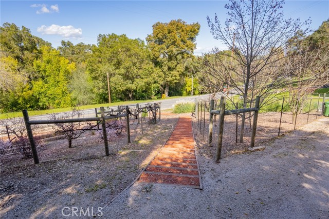 The property offers many fruit trees including apple, peach, fig, pear, tangerine, nectarine and aprium (plum, apricot cross).  And there are raspberry bushes!