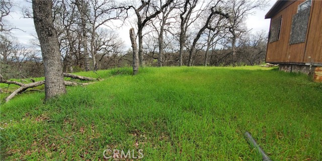 Detail Gallery Image 12 of 16 For 15842 S Mendocino, Corning,  CA 96021 - – Beds | – Baths