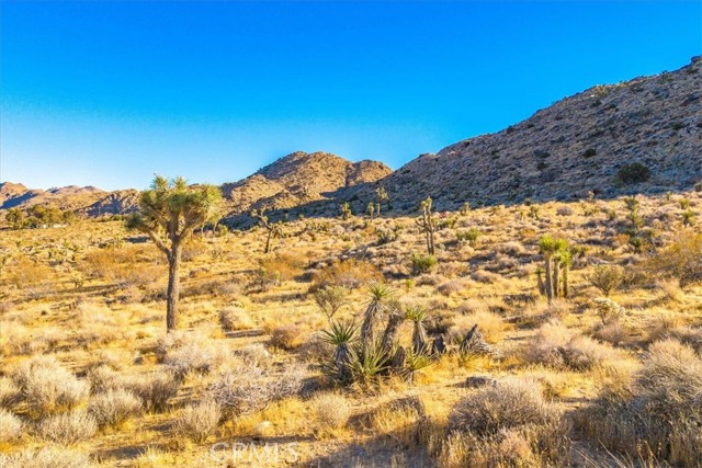 Detail Gallery Image 22 of 44 For 62455 Kent Rd, Joshua Tree,  CA 92252 - 0 Beds | 0 Baths