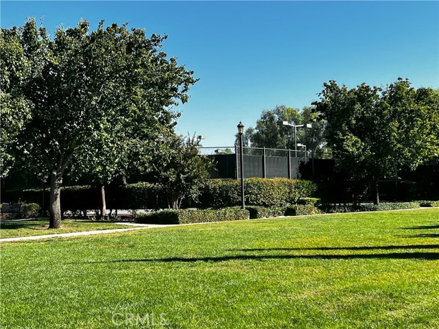 Club Tennis Courts
