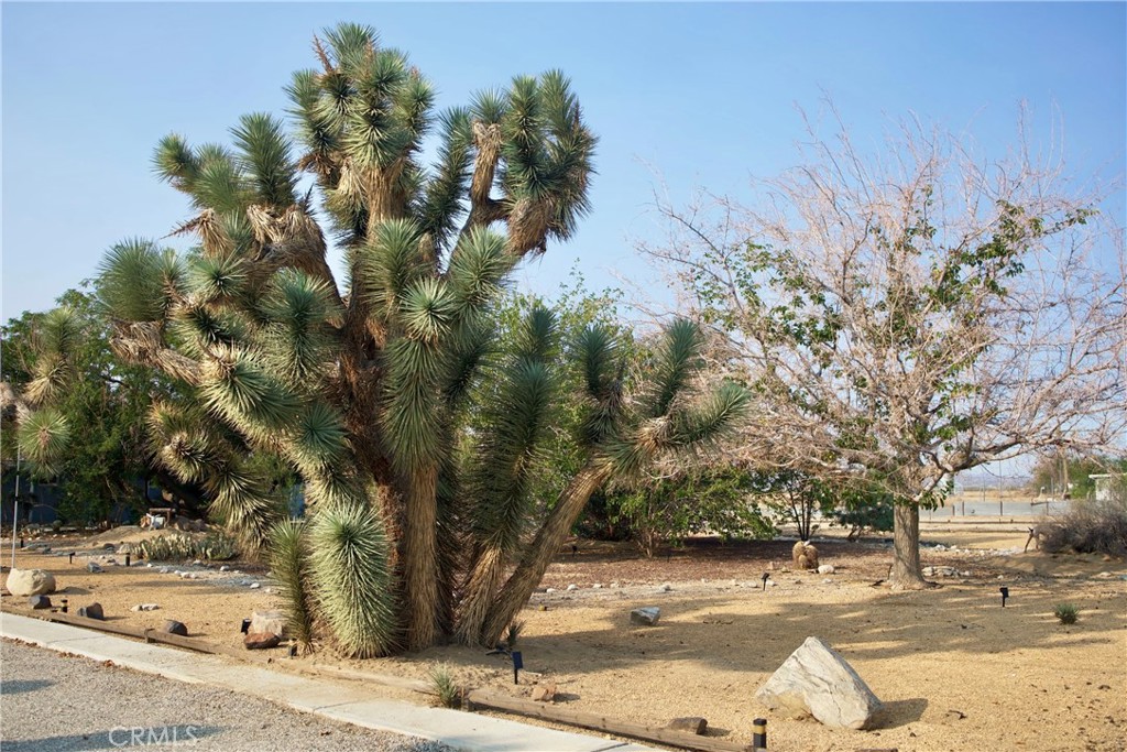 MLS #OC25244516 image #28