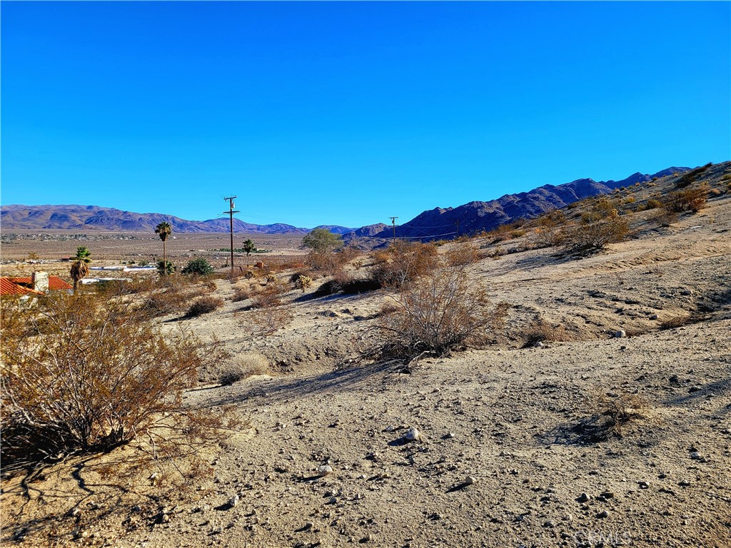 MLS #JT25267028 image #5