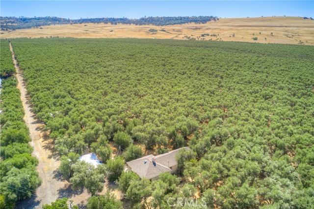 16 Rocky Drive, Oroville CA: https://media.crmls.org/medias/538c3191-bc5e-4c98-9a01-f73fcddbe7d4.jpg