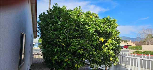 Detail Gallery Image 25 of 26 For 2431 El Rancho Cir, Hemet,  CA 92545 - 2 Beds | 2 Baths