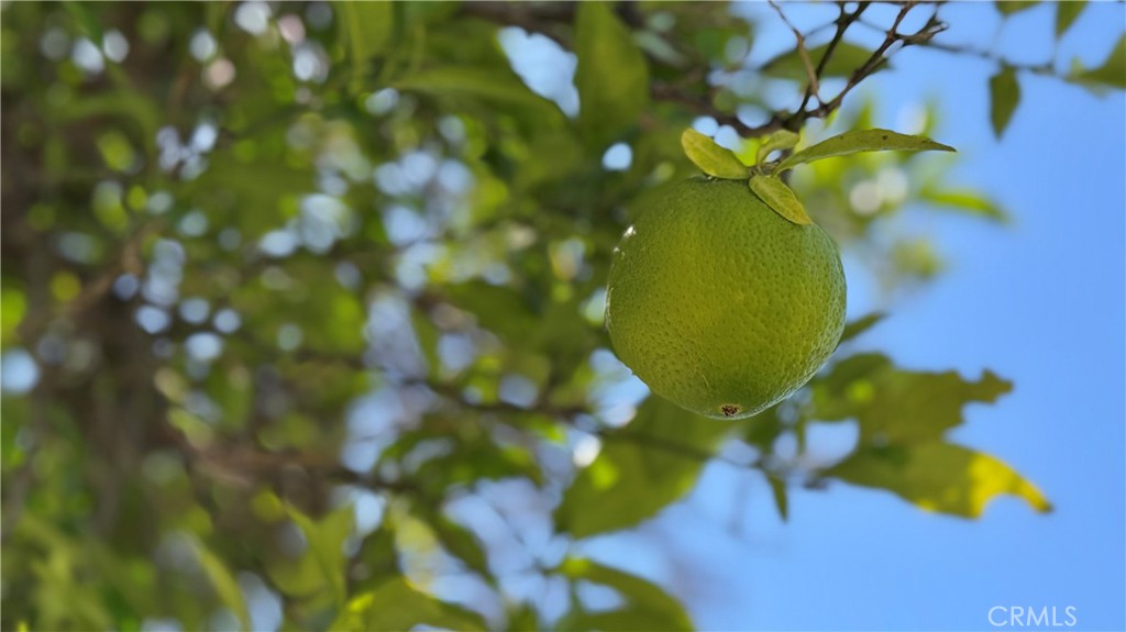 https://media.crmls.org/medias/53947f54-99d2-4349-8609-c1f2846d43a4.jpg?preset=X-Large