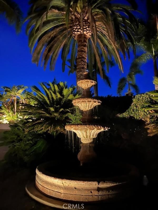 The water fountain at the start of the circular driveway. It's beautiful during the day but dazzling after sunset!