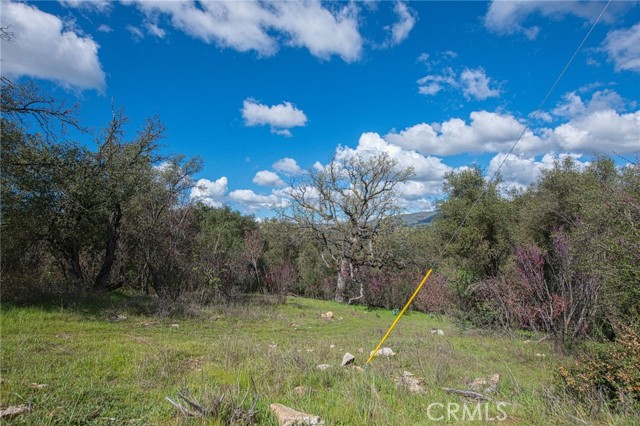 Detail Gallery Image 38 of 45 For 4853 Daffodil, Mariposa,  CA 95338 - 3 Beds | 2 Baths