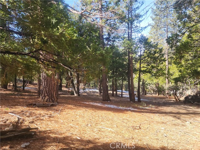Detail Gallery Image 35 of 61 For 52547 Pine Cove Rd, Idyllwild,  CA 92549 - – Beds | – Baths