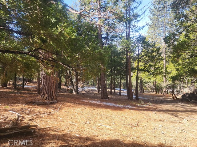 Detail Gallery Image 35 of 61 For 52547 Pine Cove Rd, Idyllwild,  CA 92549 - – Beds | – Baths