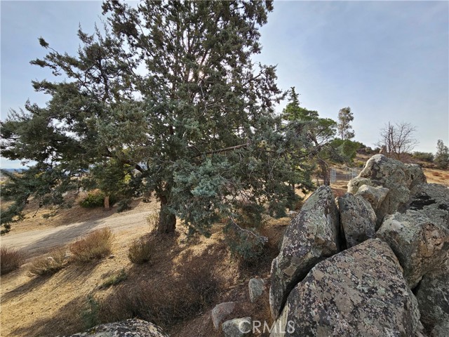 Detail Gallery Image 22 of 75 For 41080 Saddleback Dr, Aguanga,  CA 92536 - 2 Beds | 2 Baths