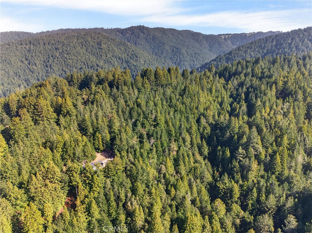 https://media.crmls.org/medias/53a5155a-1d3b-42aa-85a4-53d0edb3ef2b.jpg?preset=X-Large