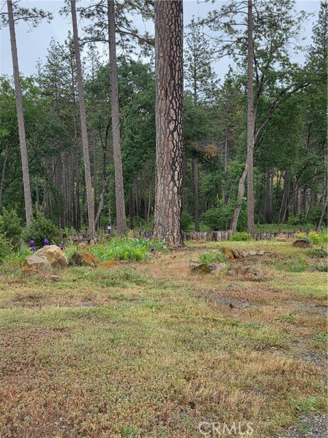 Front Image Thumbnail for CRPA26101171