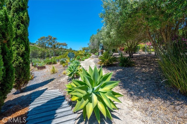 229 Blue Sky Drive, Arroyo Grande CA: https://media.crmls.org/medias/53ab40b1-61eb-4a12-bf18-789f22c4976e.jpg