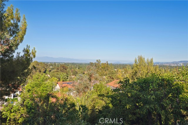 Image 36 of 50 For 8042 Masefield Court