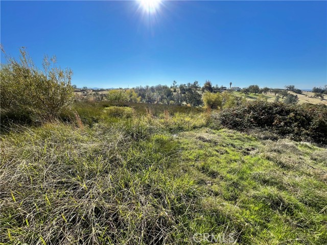 0 Fletcher Road, Oroville, California 95966, ,Land,For Sale,0 Fletcher Road,CROR22068269