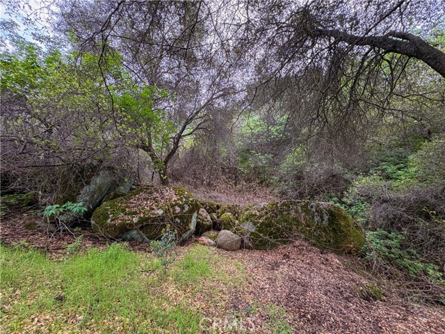 Detail Gallery Image 37 of 38 For 39313 Squaw Valley, Squaw Valley,  CA 93675 - 3 Beds | 2 Baths