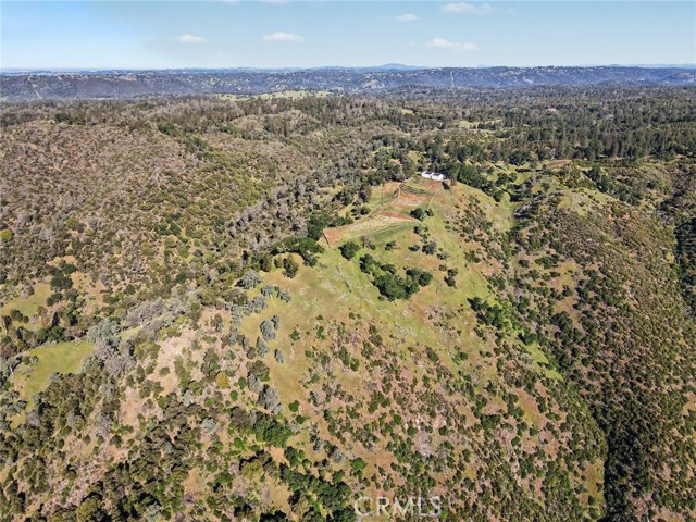 Image 34 of 36 For 3029 Freshwater