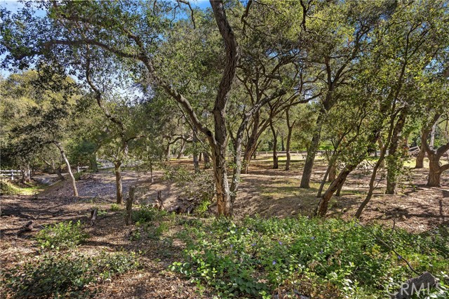 Detail Gallery Image 4 of 12 For 19411 Live Oak Canyon, Trabuco Canyon,  CA 92679 - – Beds | – Baths