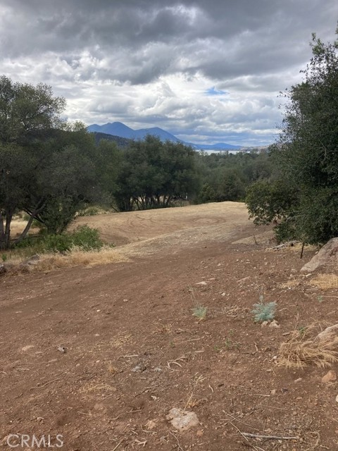 Front Image Thumbnail for CRLC26078140