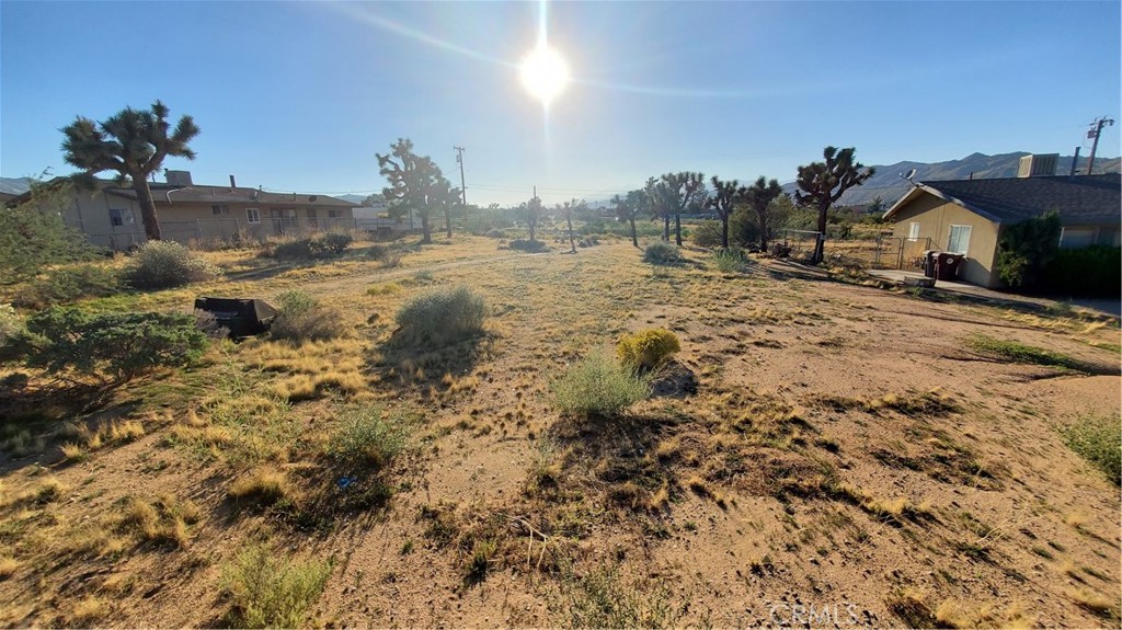MLS #JT25116309 image #3