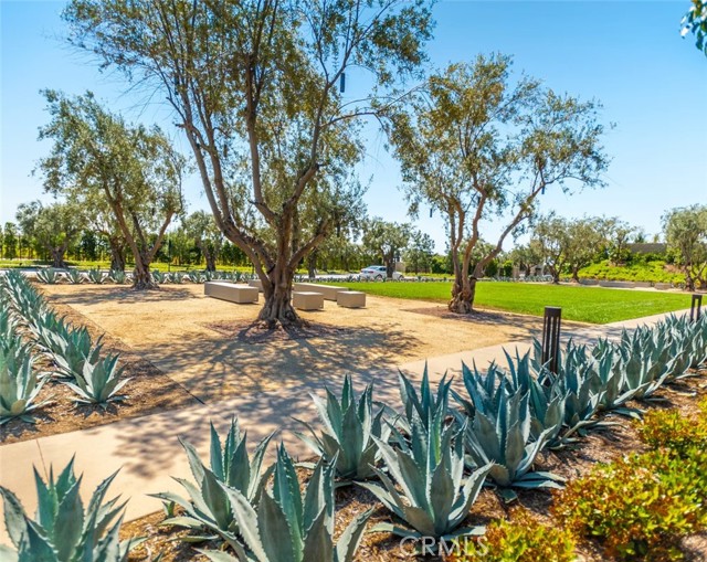 Detail Gallery Image 39 of 40 For 53 Chasma, Irvine,  CA 92618 - 3 Beds | 2/2 Baths