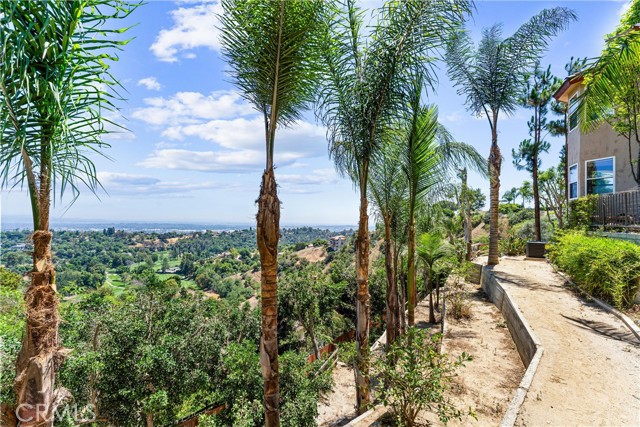 918 Reposado Drive, La Habra Heights CA: https://media.crmls.org/medias/53d30470-d927-4a0f-833a-c90bccb64613.jpg