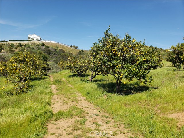 Detail Gallery Image 24 of 39 For 12 Carancho Rd, Temecula,  CA 92590 - – Beds | – Baths