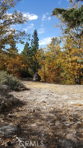 0 Ridge Dr.- Running Springs