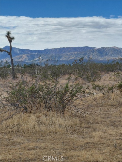  Land for Sale in Phelan, California