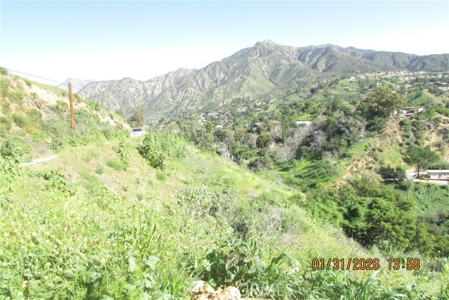 Detail Gallery Image 43 of 51 For 8001 Denivelle Rd., Sunland,  CA 91040 - – Beds | – Baths