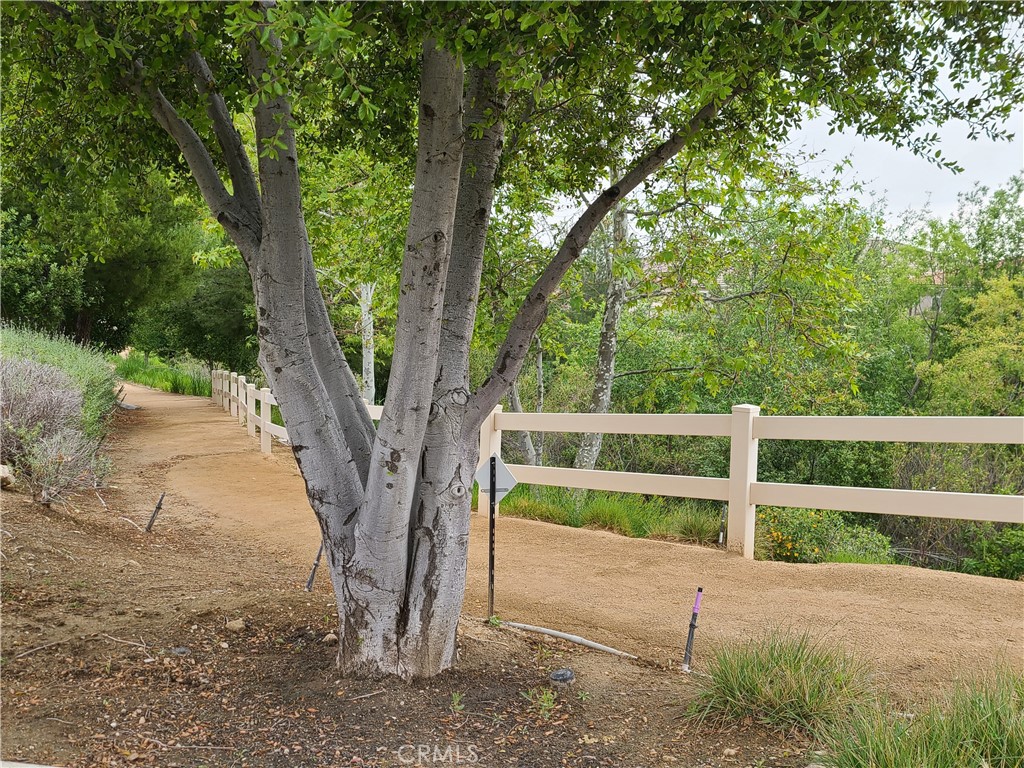 Image 36