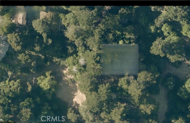 Front Image Thumbnail for CROC25263600